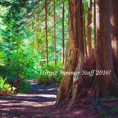 Staff